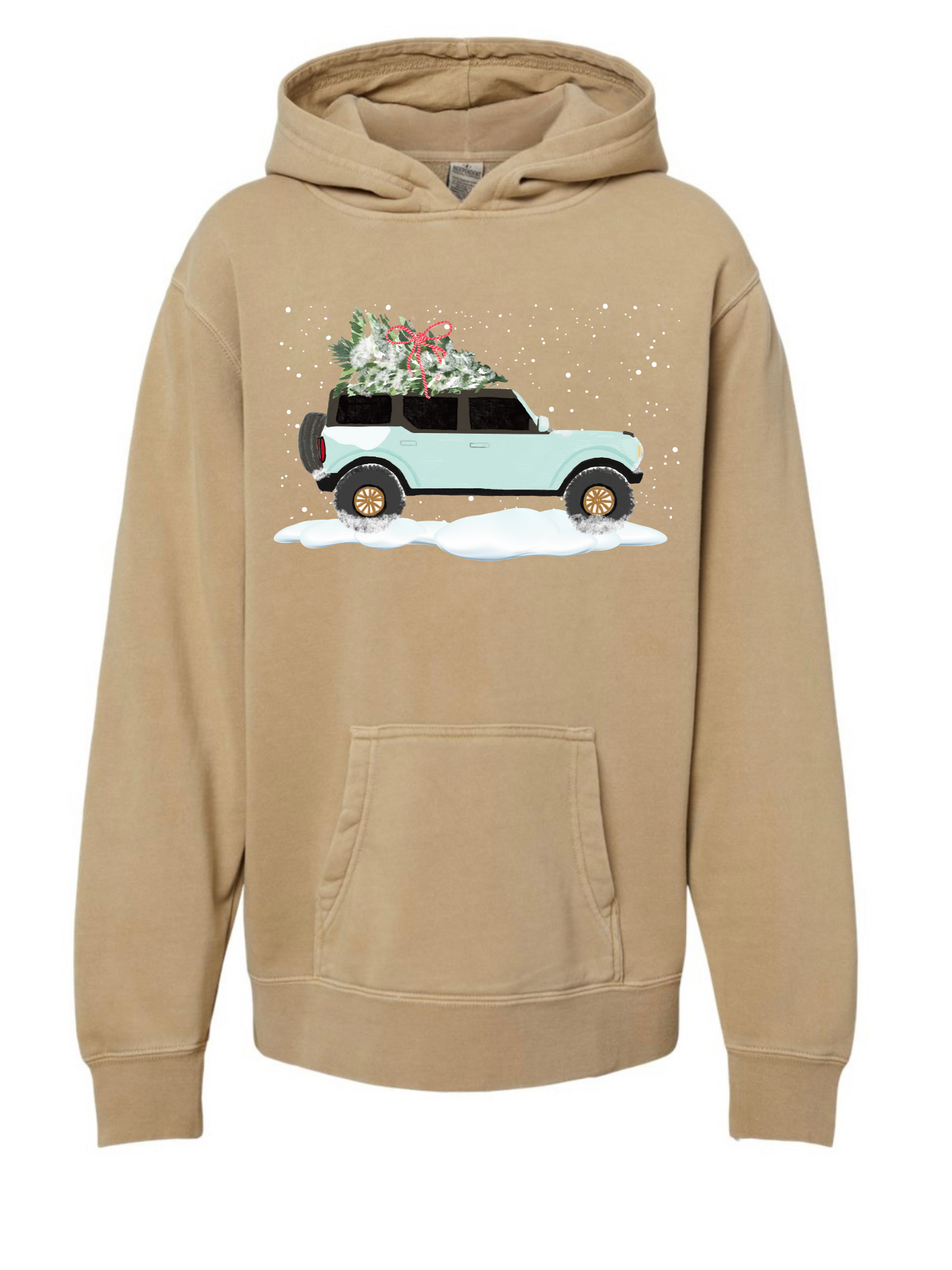 Dashing Through the Snow! (Youth Hoodie)
