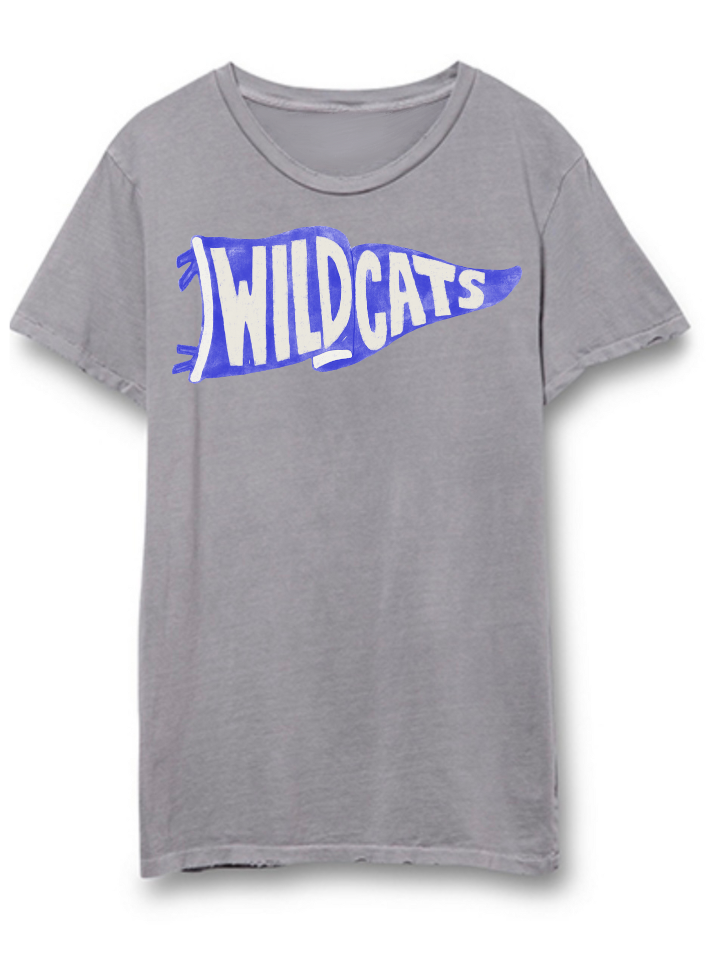 Wildcats(Royal) Vintage School Spirit Pennant Distressed Tee