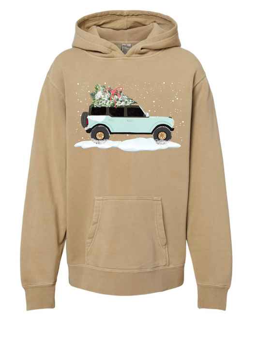 Dashing Through the Snow! (Youth Hoodie)