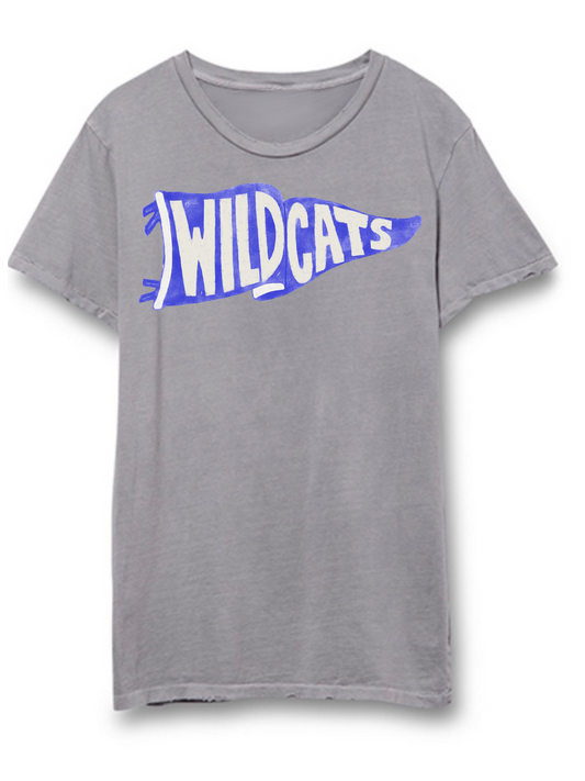 Wildcats(Royal) Vintage School Spirit Pennant Distressed Tee